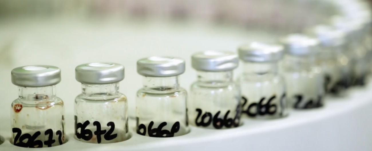 Copertina di Il racconto del reale, su Sky Atlantic il docufilm sulle nuove droghe sintetiche: “Non smetto quando voglio”