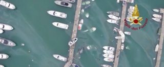 Copertina di Maltempo, a Rapallo è cominciato il recupero degli yacht affondati. Le immagini della costa dal drone