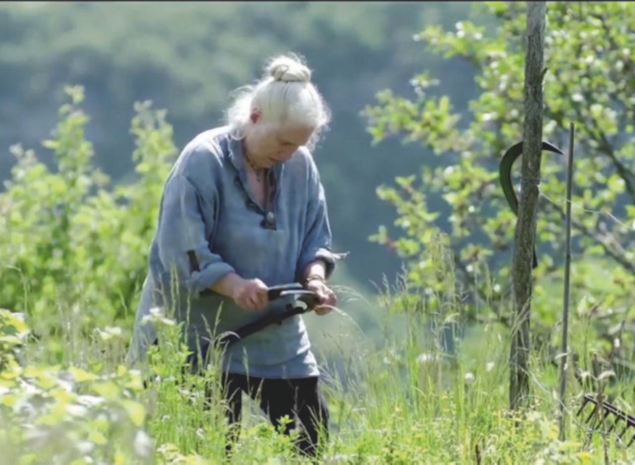 Copertina di Campagne e pescatori al cinema: storie di resistenza anti-Masterchef