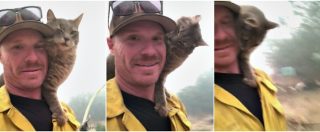 Copertina di California, il gatto salvato dalle fiamme non si stacca dalle spalle del pompiere. La tenerezza nella devastazione degli incendi