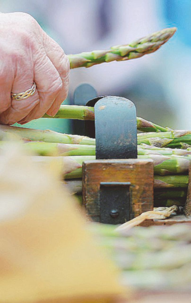 Copertina di Lodi, l’asparago (ogm) nemico del popolo