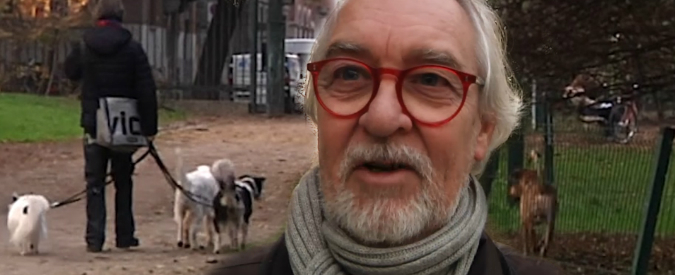 Copertina di Milano, cani intossicati dopo aver ingerito droga al parco Sempione: “Ormai è normalità. Al nostro è successo 3 volte”