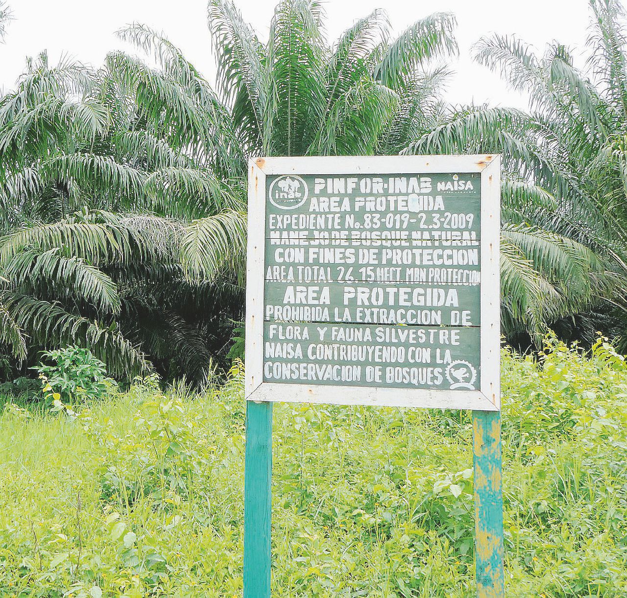 I nuovi schiavi delle palmeras – Il reportage di Alessandro Di Battista (6)