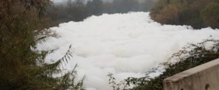 Copertina di Valle del Sacco, schiuma bianca nel fiume. Arpa: “Inquinanti fino a 8 volte i limiti”. Indagine sugli sversamenti abusivi