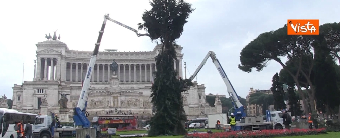 Copertina di Spelacchio is back, ma per i social è già “Spezzacchio”: l’albero senza rami sembra malconcio. Ecco la ragione