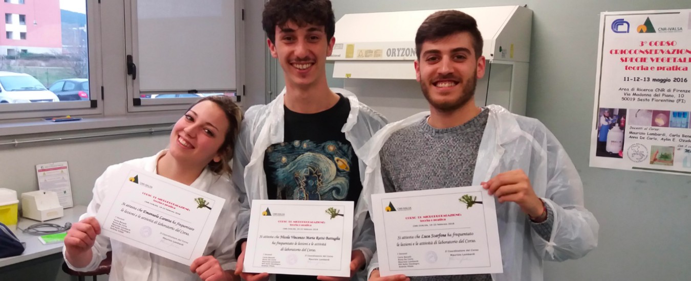 Copertina di “Con la nostra start-up vogliamo fare qualcosa per la Calabria, la nostra terra. Altrimenti qui non c’è futuro”