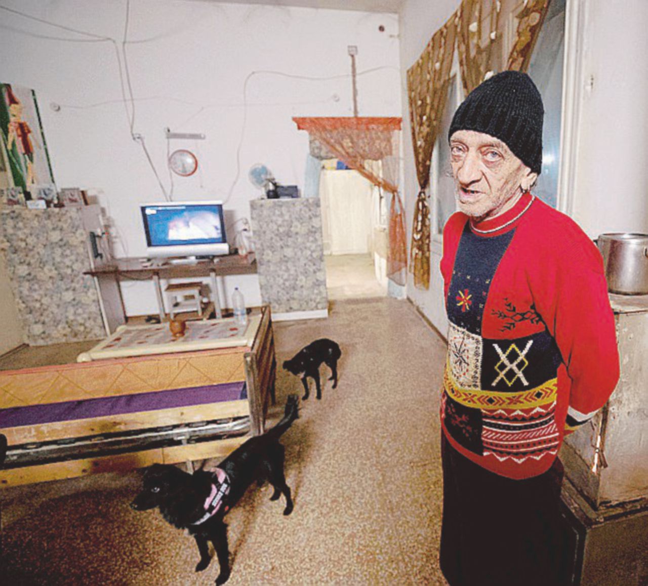 Copertina di Ex Penicillina, sgombero per Salvini e CasaPound