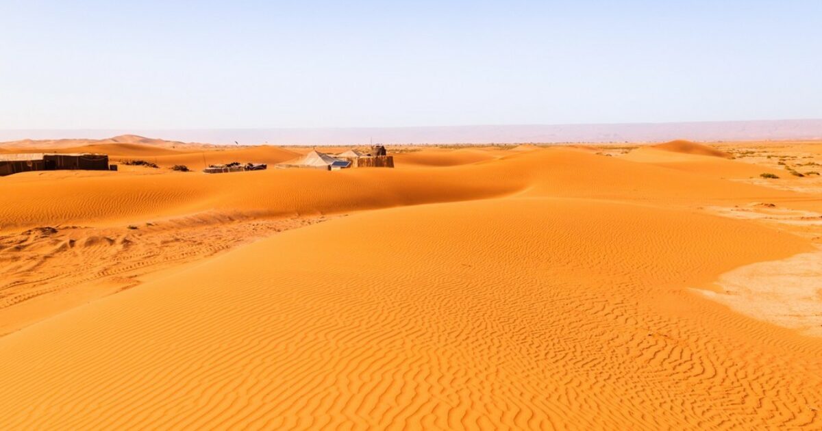 scampati al deserto traoré ali e ousmane non rinunciano ai loro sogni e ne hanno fatto una foresta da Ilfattoquotidiano.it scampati al deserto traoré ali e ousmane non rinunciano ai loro sogni e ne hanno fatto una foresta