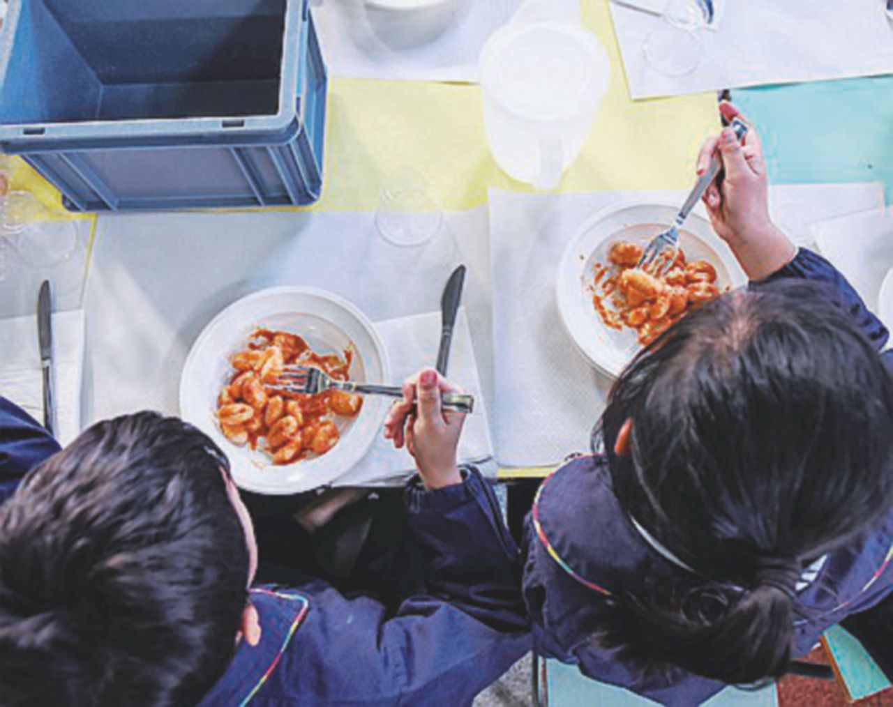 Topi e panini con gli insetti: scene da film dell’orrore in sette mense scolastiche