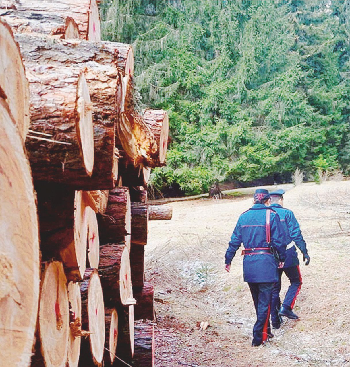 Vitali, boscaiolo moldavo in nero, ucciso da un cavo d’acciaio e dal suo “padrone”