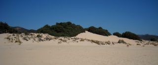 Copertina di Sardegna, gli ambientalisti comprano le dune di Chia: “Rischiavano di finire in mano agli investitori arabi”