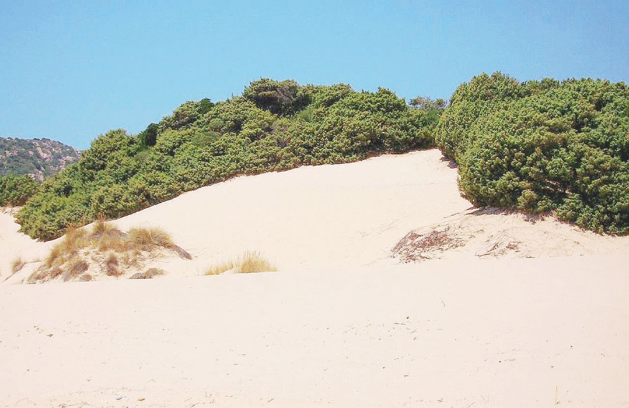 Copertina di Il Davide di Sardegna batte il Golia d’Arabia. Gli ambientalisti comprano le dune di Chia