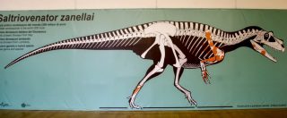 Copertina di “Italiano il più antico dinosauro carnivoro di grandi dimensioni scoperto al mondo”