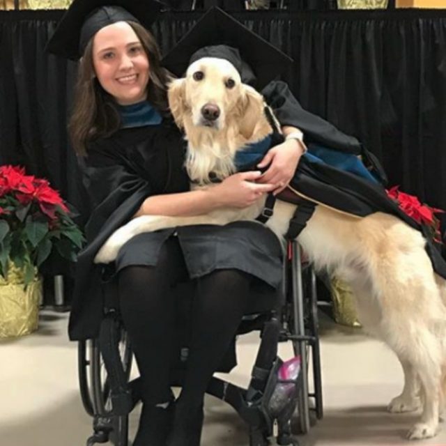 Il cane Griffin prende la laurea ad honorem: ha aiutato la sua padrona a studiare