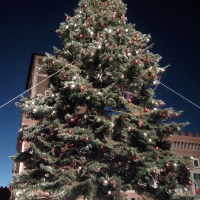 Spezzacchio, l’albero di Natale romano imbragato per via del forte vento: “Gli cadono le palle, come dargli torto?”