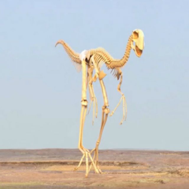 Il cacciatore di dinosauri, su National Geographic un viaggio nel deserto del Gobi per contrastare il contrabbando di fossili