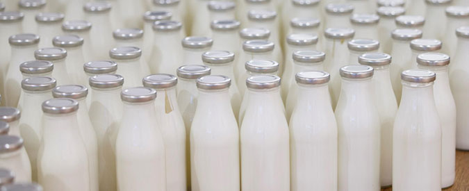 Napoli, caseifici, camorra e 3 milioni in contanti: il latte destinato allo smaltimento venduto in nero