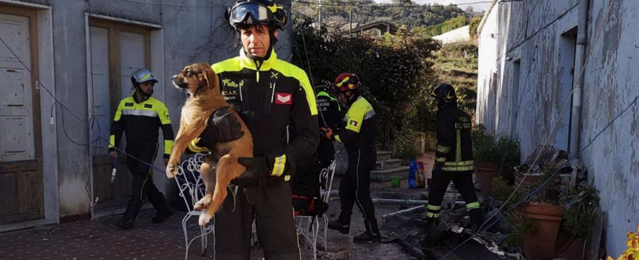 Copertina di Terremoto a Catania, tre cuccioli di cane intrappolati dopo il crollo di una casa: l’intervento dei Vigili del fuoco