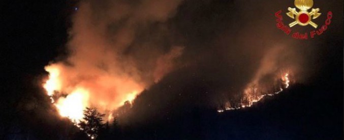 Varese, vasto incendio sul monte Martica: 100 ettari di bosco in fiamme, ipotesi origine dolosa. In azione i Canadair