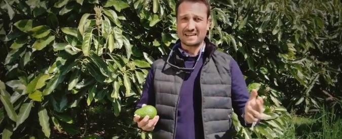 Copertina di Riparte il futuro, il giovane agricoltore che ha superato attentati e concorrenza in Sicilia. Un avocado alla volta