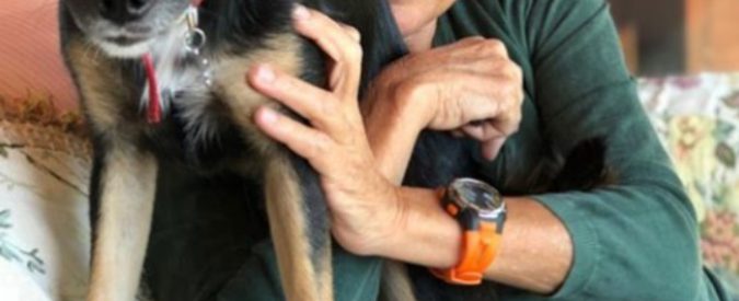 Susanna Tamaro e il dolore per la cagnolina uccisa da un boccone avvelenato: “Addio piccolo raggio di luce”