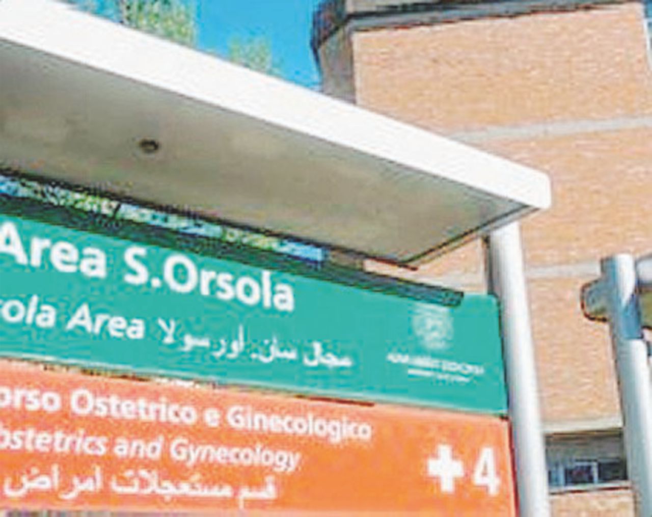 I cartelloni - Multilingua Asse Lega-5Stelle: “Le scritte in arabo dagli ospedali cittadini vanno rimosse”
