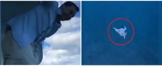Copertina di Si lancia dall’undicesimo piano della nave da crociera: il salto in mare è pauroso e il gesto gli costa molto caro