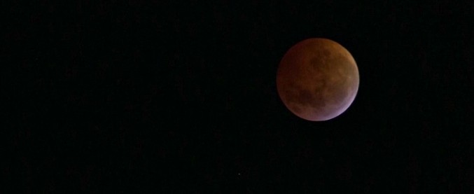 Eclissi, sveglia all’alba per la super luna rossa: il cielo è uno spettacolo. La prossima nel 2028