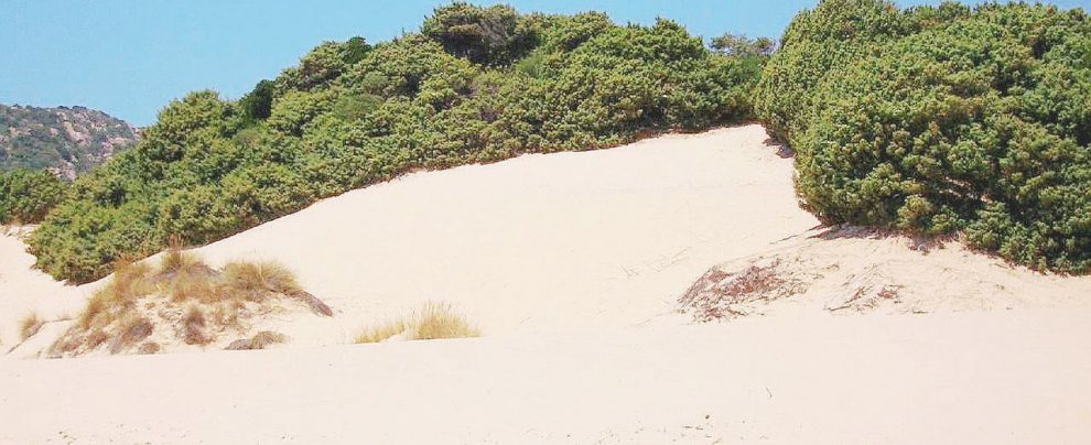 Costa tirrenica - Le dune di Chia, spiaggia all’estremità sud della Sardegna, in provincia di Cagliari - Ansa Chia, perché la spiaggia delle Dune resti pubblica servono ancora trentamila euro