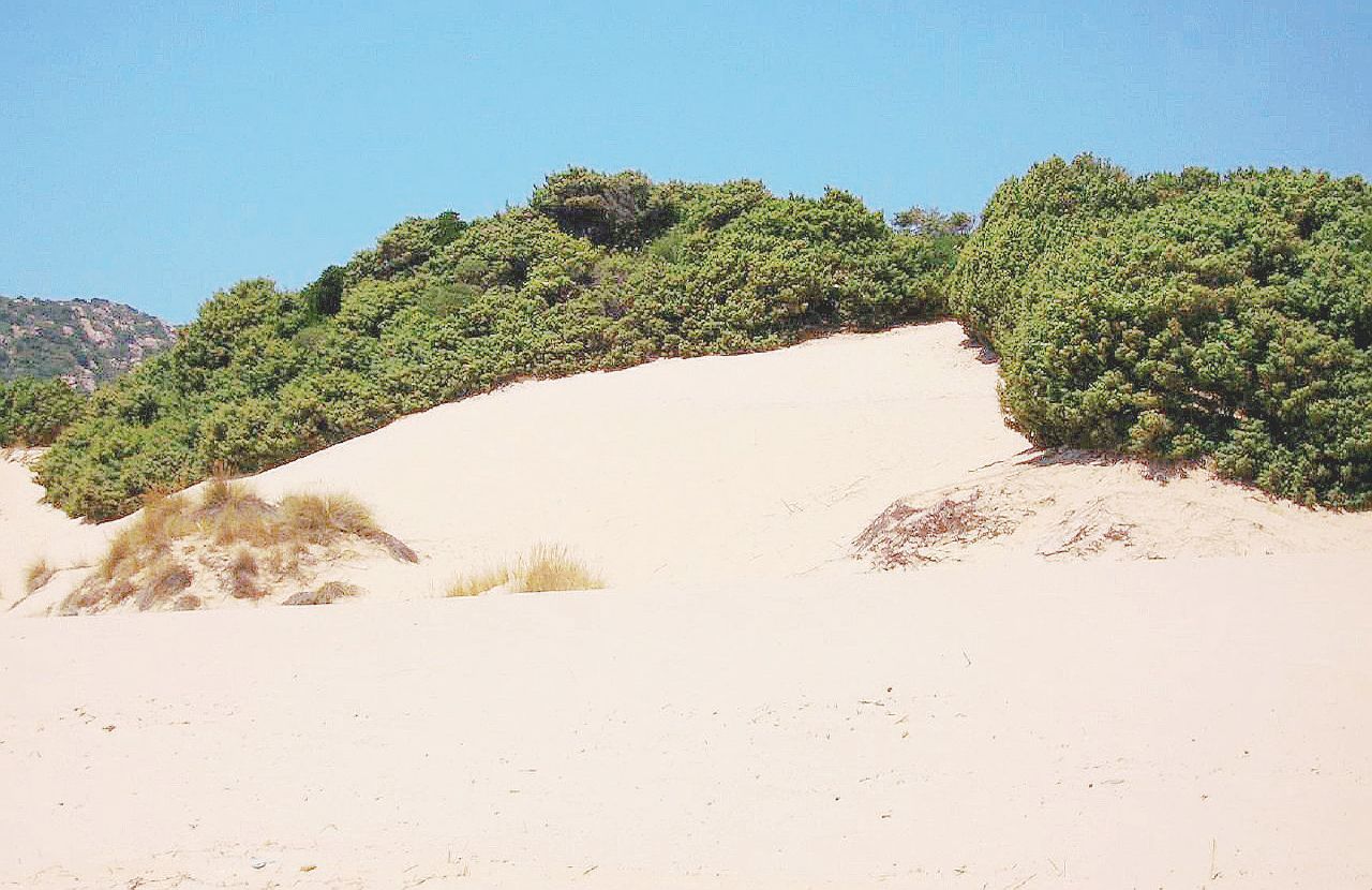 Costa tirrenica - Le dune di Chia, spiaggia all’estremità sud della Sardegna, in provincia di Cagliari - Ansa Chia, perché la spiaggia delle Dune resti pubblica servono ancora trentamila euro