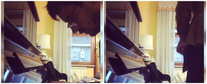 Copertina di Il tributo ai Queen è esilarante: prova a cantare “Bohemian Rhapsody” ma non ha fatto i conti con “Mama”…