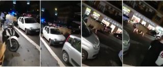 Copertina di Roma, un giovane toro a zonzo nel traffico della città. L’animale avvistato in zona Bravetta