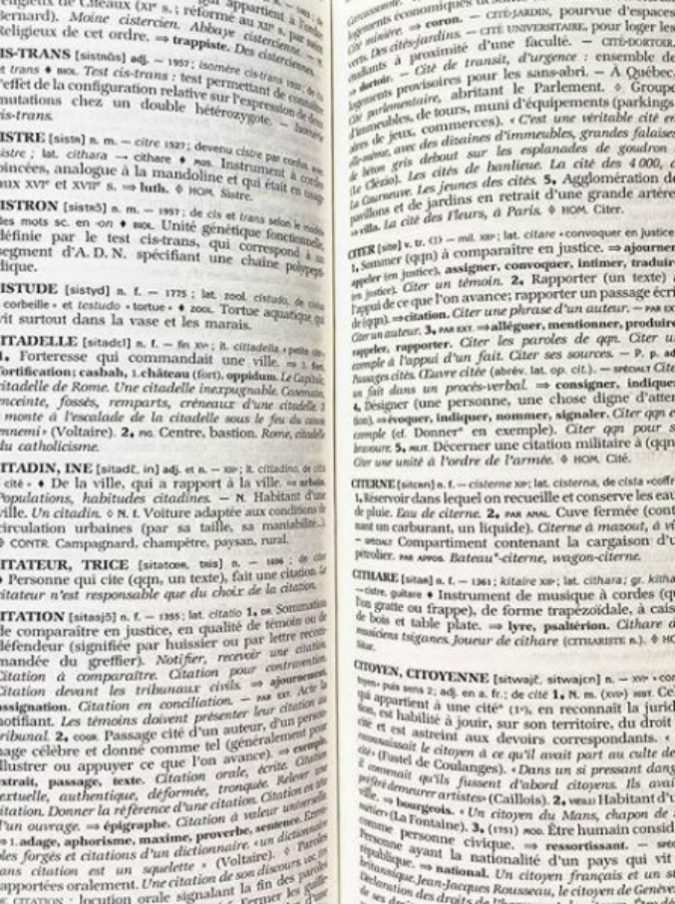 Accademia della Crusca, dire “siedi il bambino” non è più sbagliato. Resta il veto però su “scendi il cane”