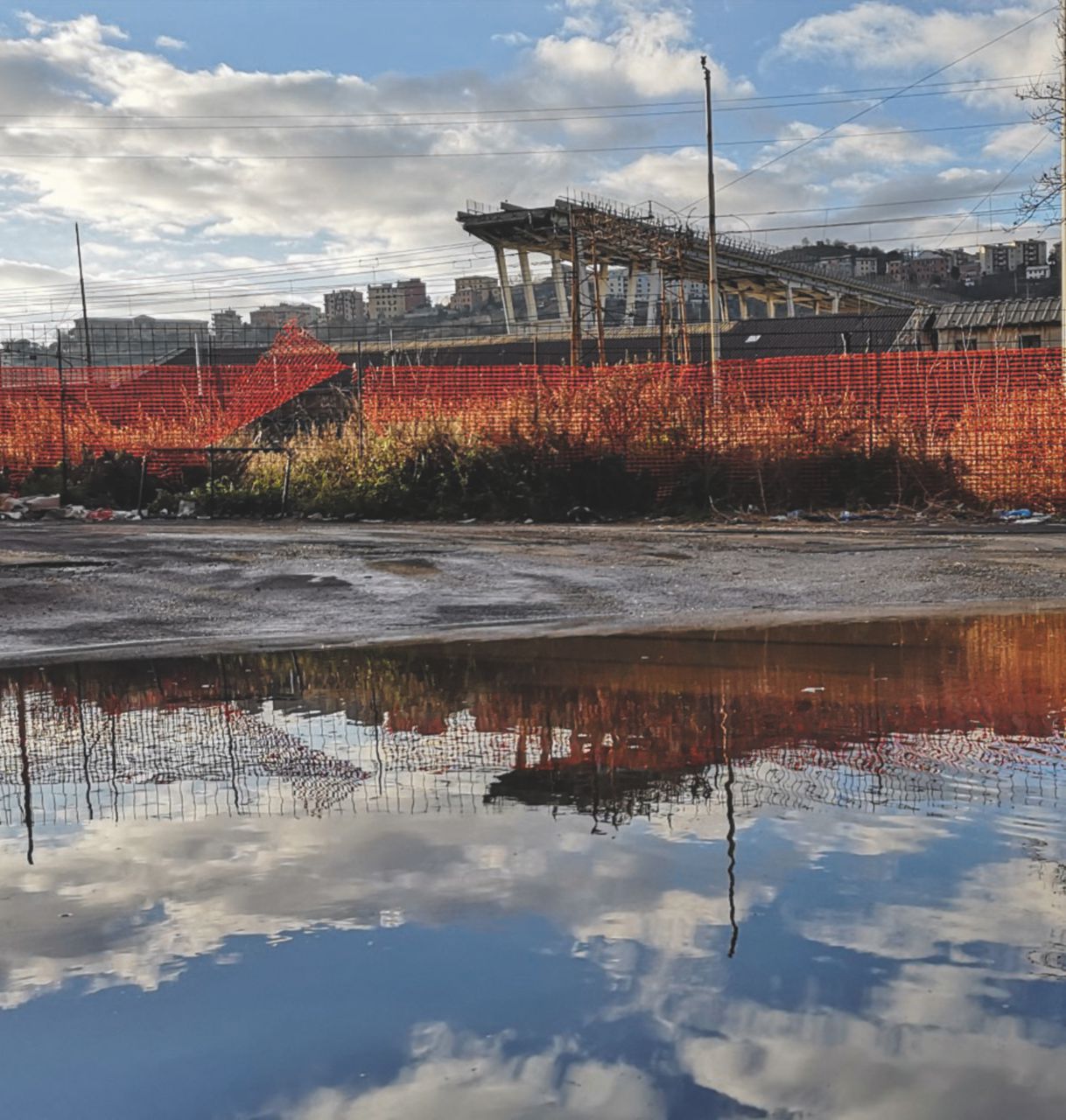 Copertina di Perizia sul Morandi, quasi due mesi per una traduzione