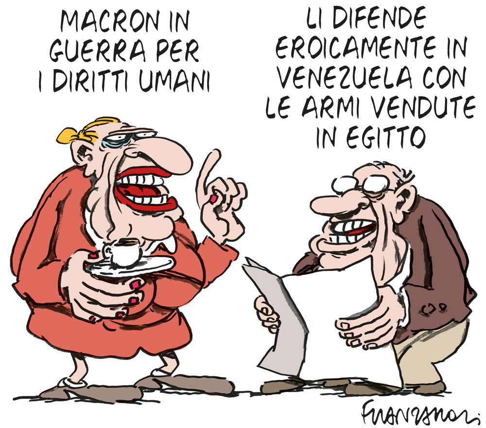 Copertina di La vignetta di Franzaroli