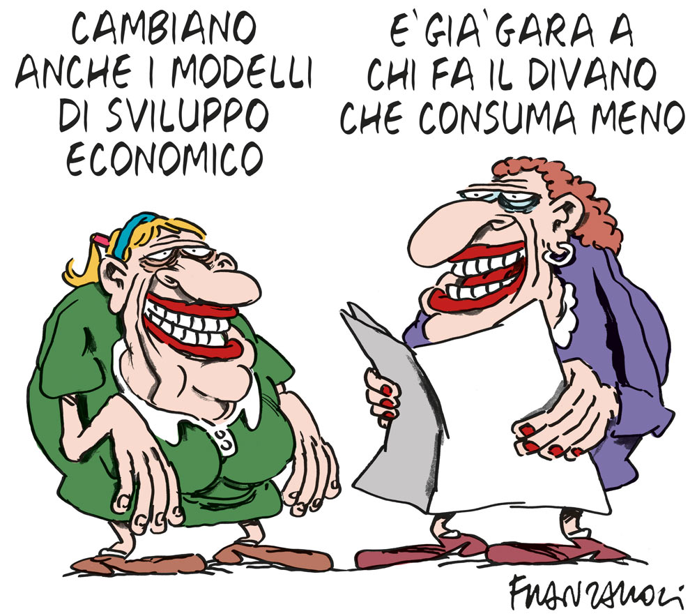 Copertina di La vignetta di Franzaroli