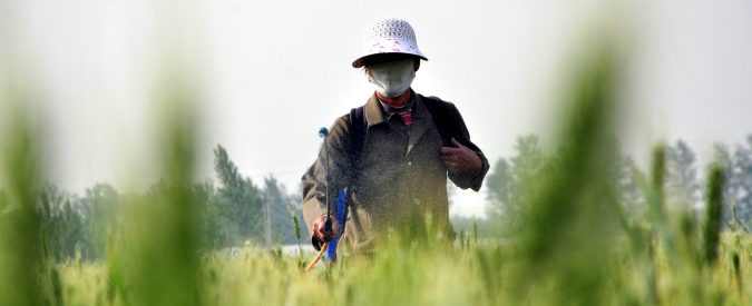 Pesticidi, il pianeta sta perdendo la sua biodiversità. È in atto un’estinzione di massa