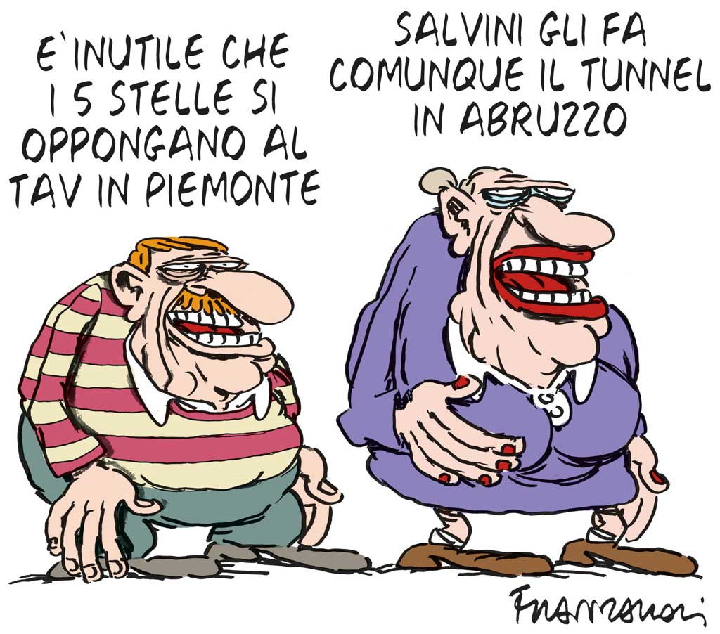 Copertina di La vignetta di Franzaroli