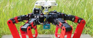 Copertina di AntBot è la prima formica robot che si muove con grande precisione senza GPS e mappe, usa la luce del cielo