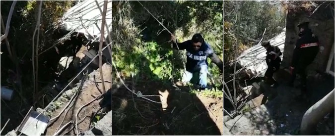 Copertina di Catania, latitante come Tarzan: usava una corda fissata a un albero per raggiungere il covo. Arrestato