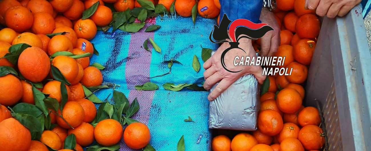 Copertina di Pozzuoli, 1 tonnellata e 250 chili di hashish sequestrati dai carabinieri. Erano nascoste tra cipolle e arance: 3 arresti