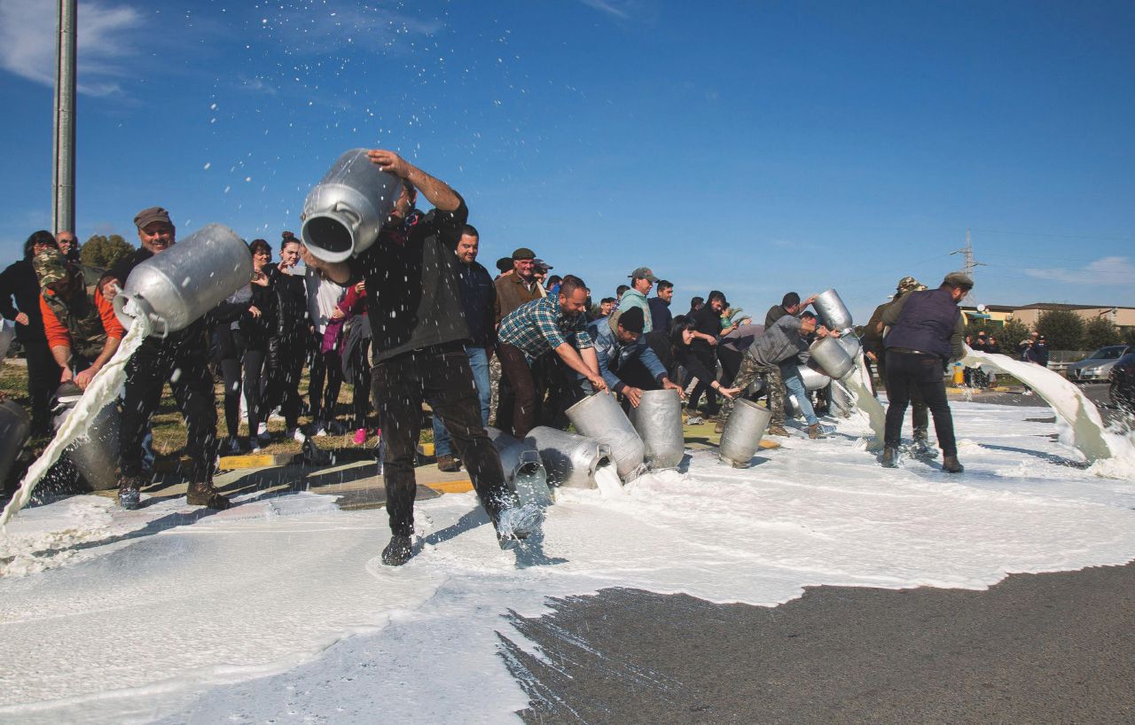 Copertina di Il bianco del latte, il nero del futuro