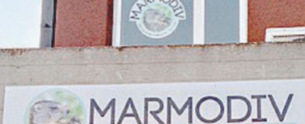 Cerchi lavoro? C’è Tiziano, il “babbo” di tutta Rignano Cerchi lavoro? C’è Tiziano, il “babbo” di tutta Rignano