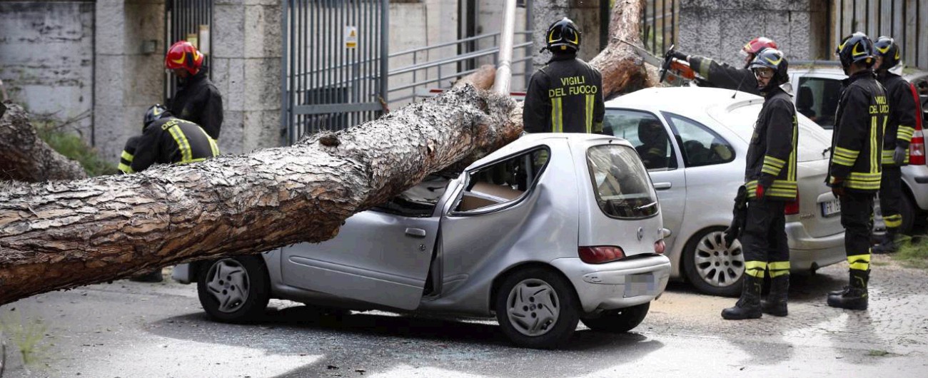 Roma, albero cade su tre auto in viale Mazzini: due feriti, uno è grave