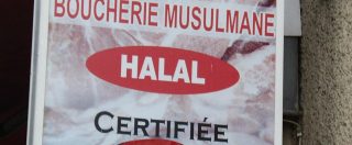Copertina di Corte Ue, niente logo “bio” per le carni halal: “Le sofferenze del bestiame non sono ridotte al minimo”