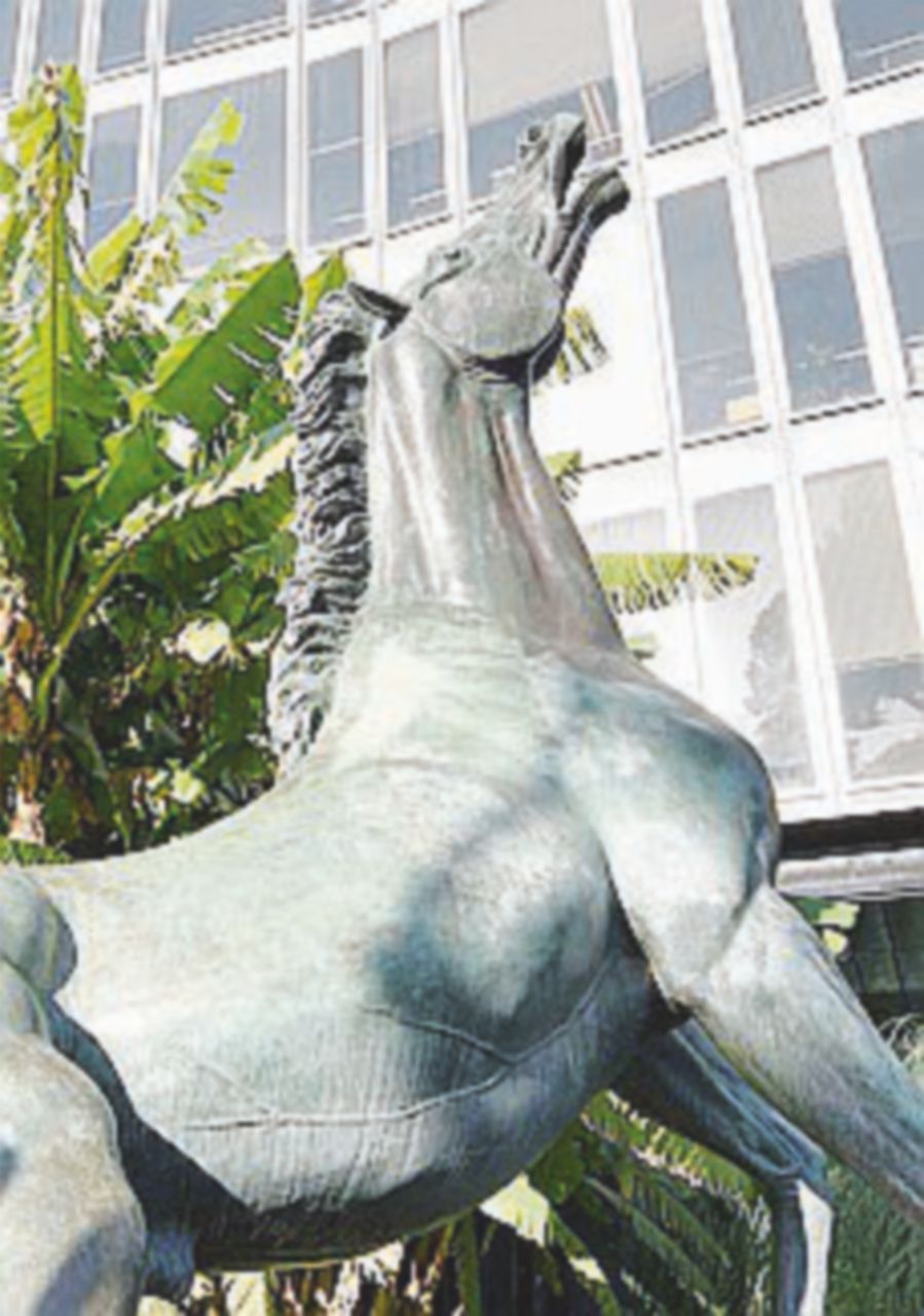 Saltano le direzioni e la Lega già protesta. Maglie “emigra” su Fb