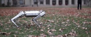 Copertina di Mini Cheetah è il robot che fa i salti mortali all’indietro come un agile cagnolino