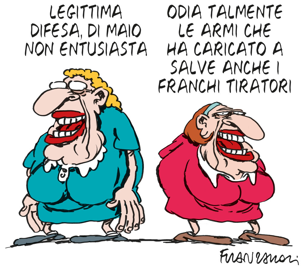 Copertina di La vignetta di Franzaroli