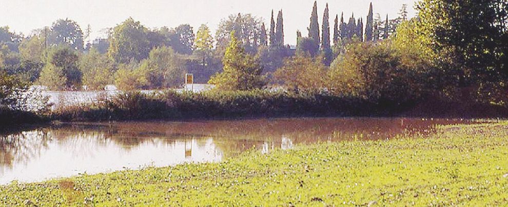 Cementificazione - Quella dell’Ex Bam è una delle poche aree verdi rimaste nella periferia di Verona “Compriamoci il parco”: i cittadini contro la costruzione di 4 grattacieli