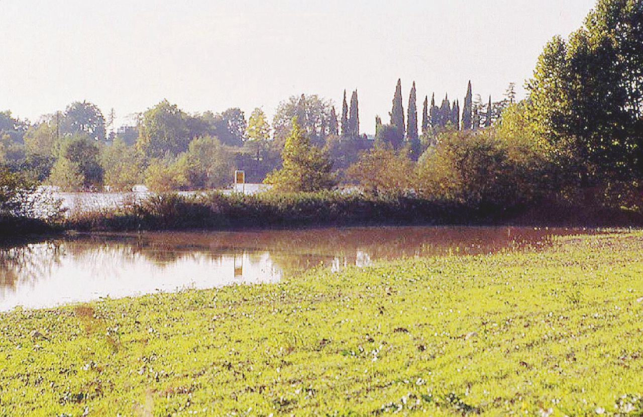 Cementificazione - Quella dell’Ex Bam è una delle poche aree verdi rimaste nella periferia di Verona “Compriamoci il parco”: i cittadini contro la costruzione di 4 grattacieli